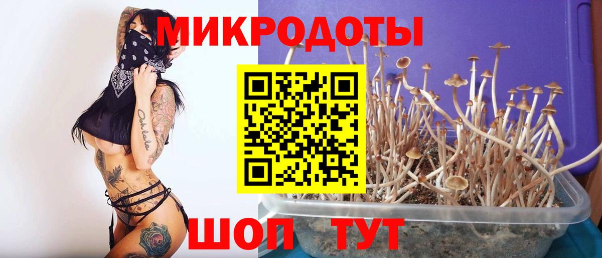 Псилоцибиновые грибы мицелий Копейск